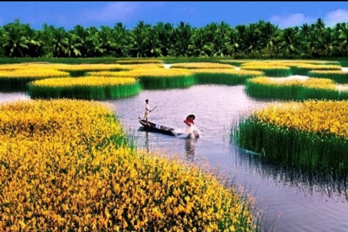 Phê duyệt đề án Xây dựng hệ thống cơ sở dữ liệu liên ngành đồng bằng sông Cửu Long